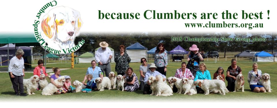 Clumber Spaniel League Victoria